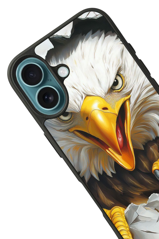 iPhone 16 Plus Uyumlu Besiktas Tasarımlı Glossy Premium Kılıf