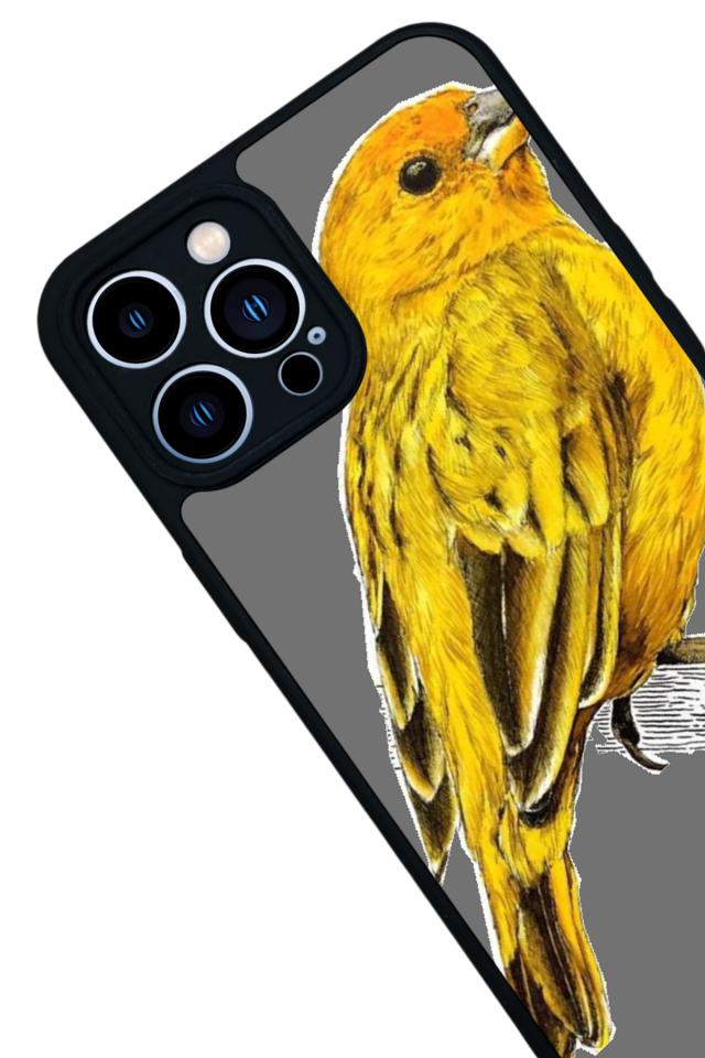 iPhone 13 Pro Max Uyumlu Fenerbahce Tasarımlı Glossy Premium Kılıf