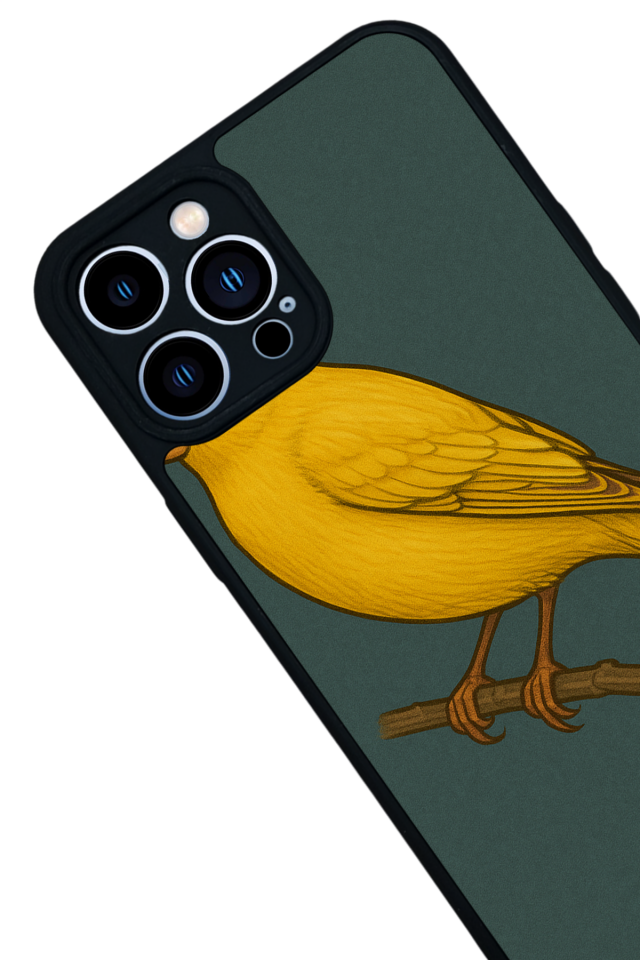 iPhone 13 Pro Max Uyumlu Fenerbahce Tasarımlı Glossy Premium Kılıf