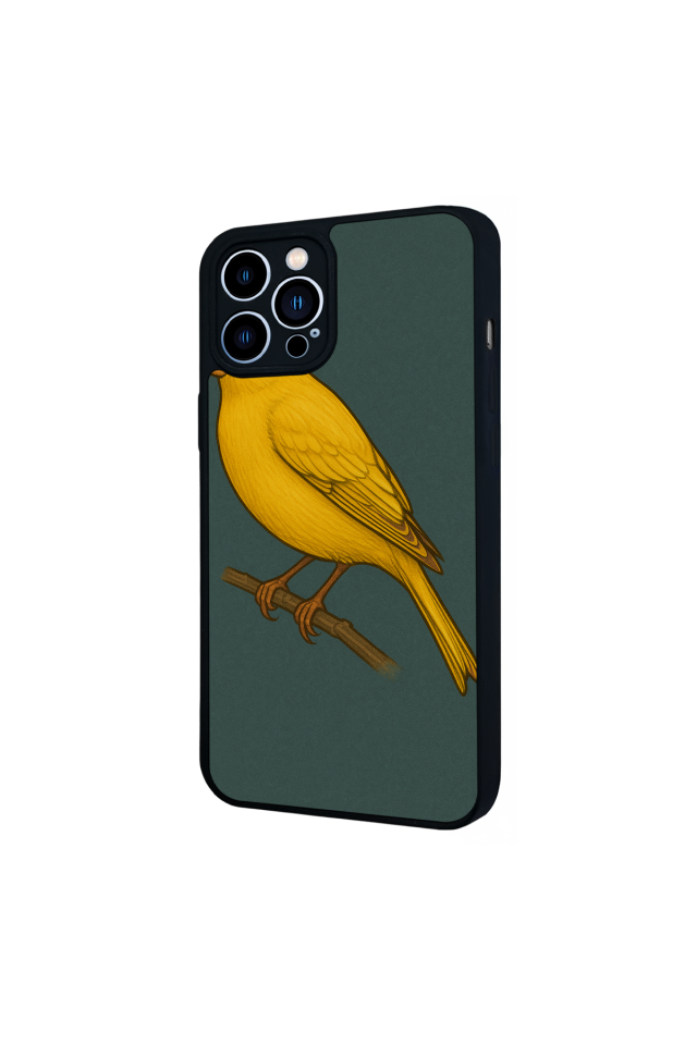 iPhone 13 Pro Max Uyumlu Fenerbahce Tasarımlı Glossy Premium Kılıf