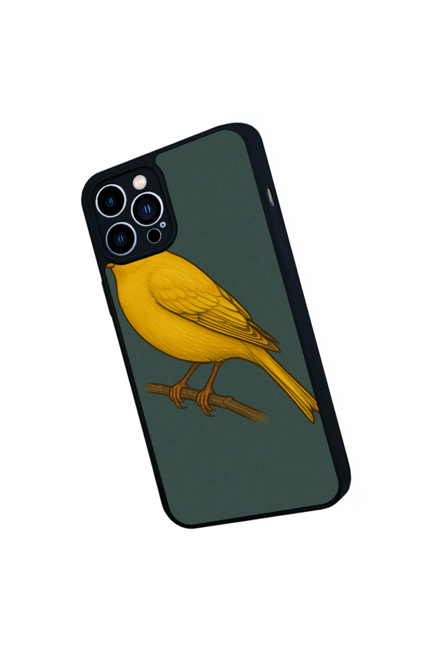 iPhone 13 Pro Max Uyumlu Fenerbahce Tasarımlı Glossy Premium Kılıf