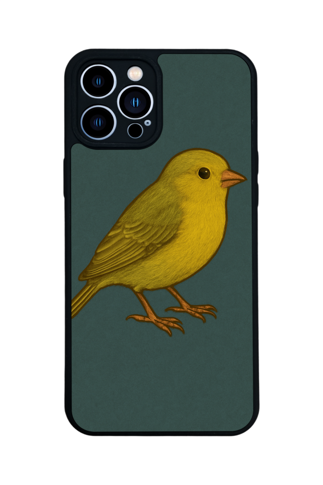 iPhone 13 Pro Max Uyumlu Fenerbahce Tasarımlı Glossy Premium Kılıf