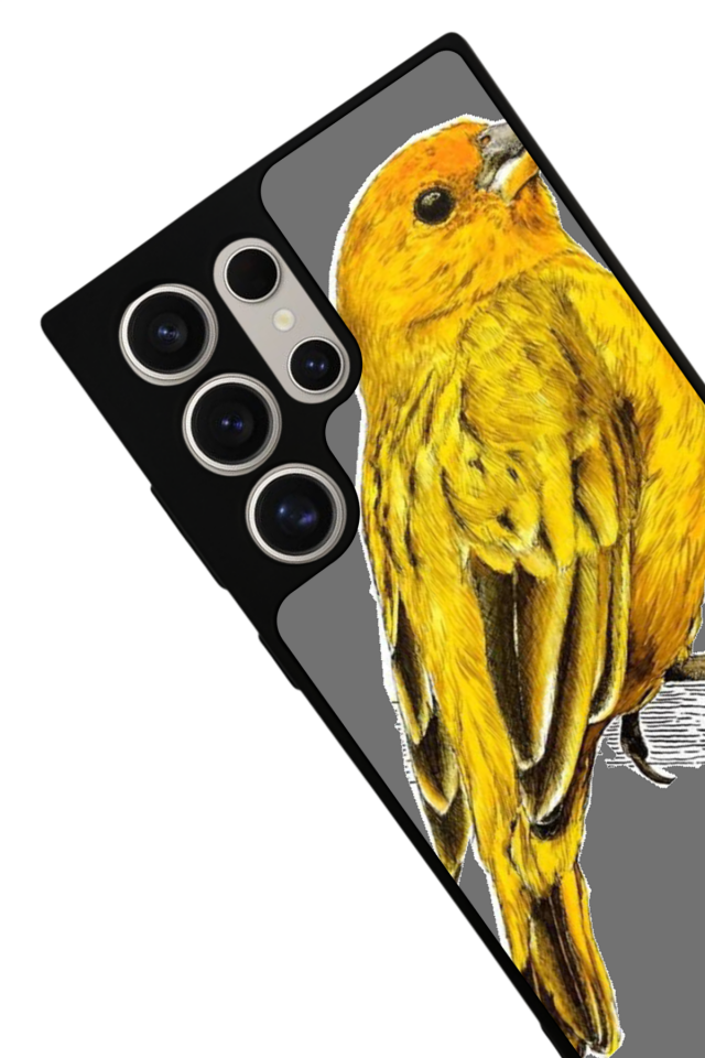 Samsung Galaxy S24 Ultra Uyumlu Fenerbahce Tasarımlı Glossy Premium Kılıf