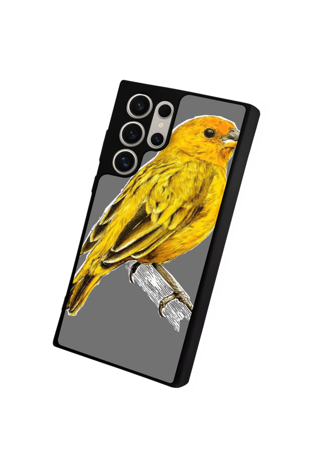 Samsung Galaxy S24 Ultra Uyumlu Fenerbahce Tasarımlı Glossy Premium Kılıf