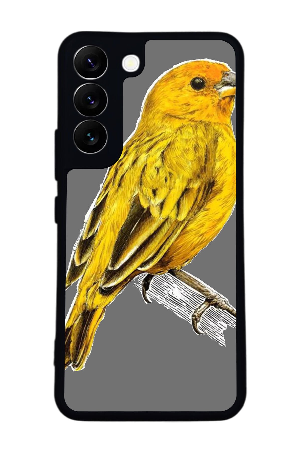 Samsung Galaxy S22 Uyumlu Fenerbahce Tasarımlı Glossy Premium Kılıf