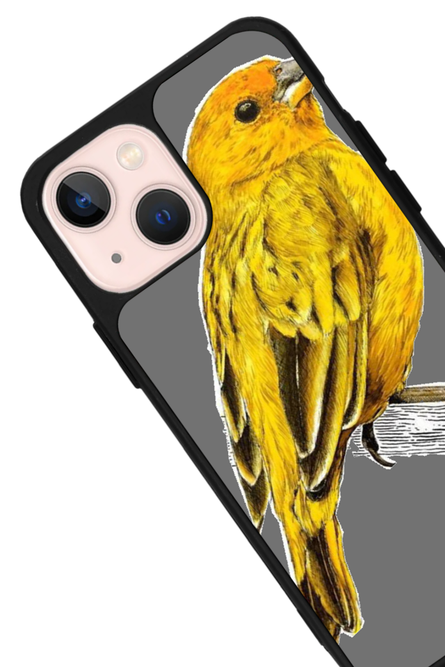 iPhone 14 Plus Uyumlu Fenerbahce Tasarımlı Glossy Premium Kılıf