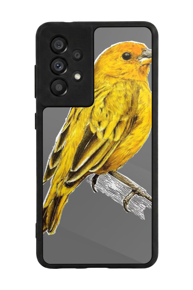 Samsung Galaxy A73 Uyumlu Fenerbahce Tasarımlı Glossy Premium Kılıf