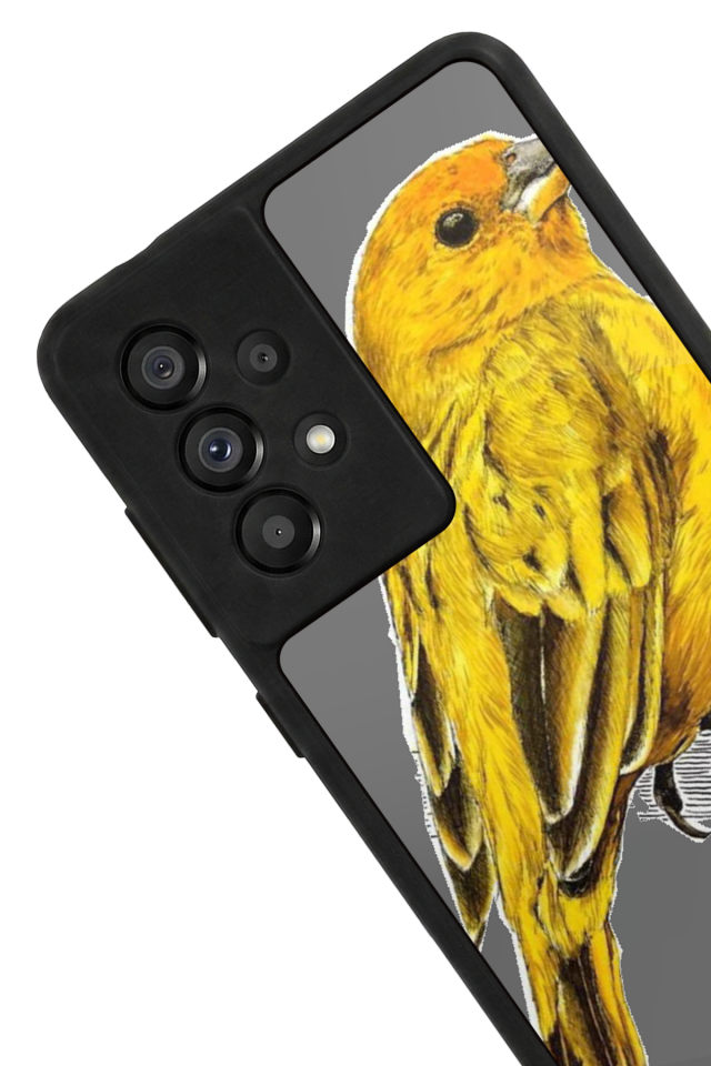 Samsung Galaxy A73 Uyumlu Fenerbahce Tasarımlı Glossy Premium Kılıf