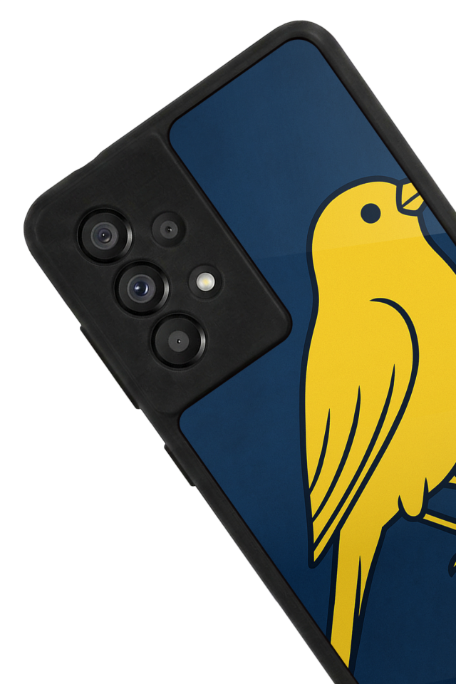 Samsung Galaxy A73 Uyumlu Fenerbahce Tasarımlı Glossy Premium Kılıf