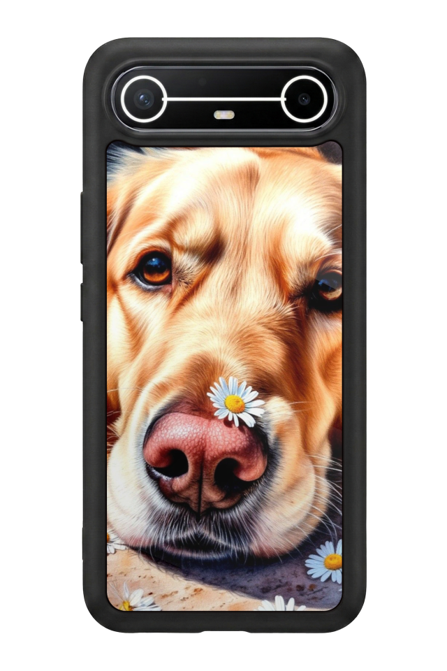 Tecno Spark Slim 5G Uyumlu Golden Kopek Tasarımlı Glossy Premium Kılıf