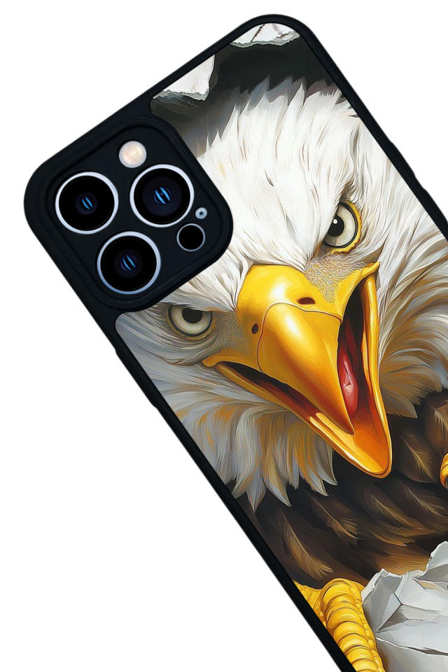 iPhone 13 Pro Max Uyumlu Besiktas Tasarımlı Glossy Premium Kılıf