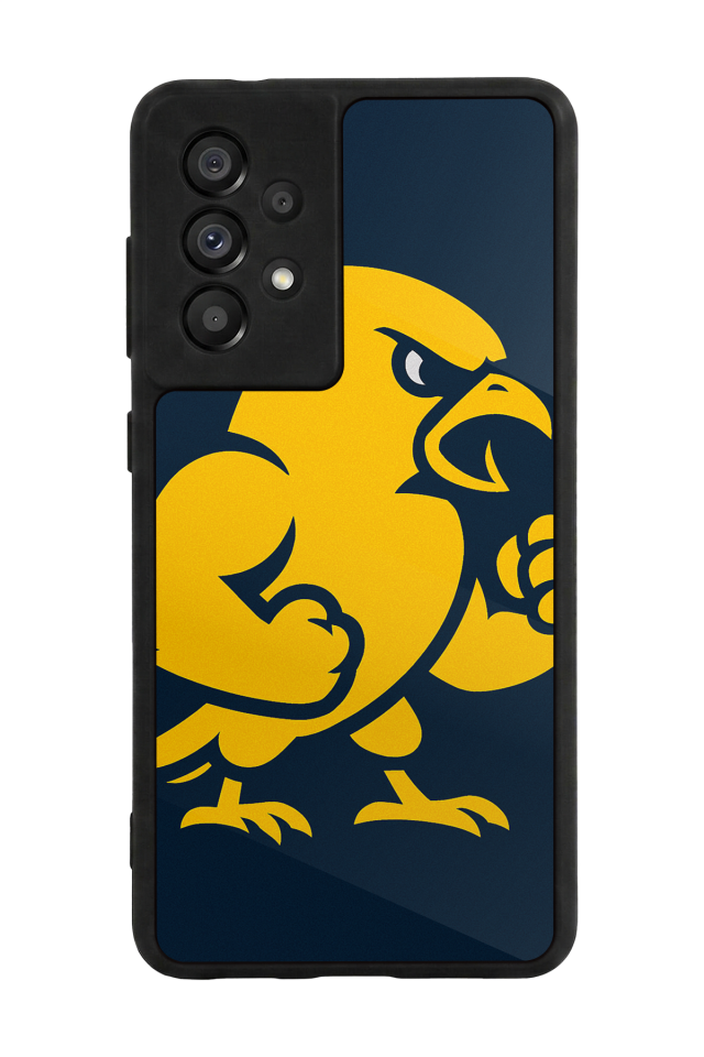 Samsung Galaxy A73 Uyumlu Fenerbahce Tasarımlı Glossy Premium Kılıf