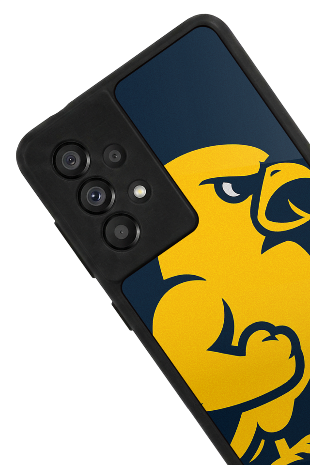 Samsung Galaxy A73 Uyumlu Fenerbahce Tasarımlı Glossy Premium Kılıf