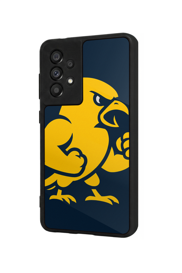 Samsung Galaxy A73 Uyumlu Fenerbahce Tasarımlı Glossy Premium Kılıf