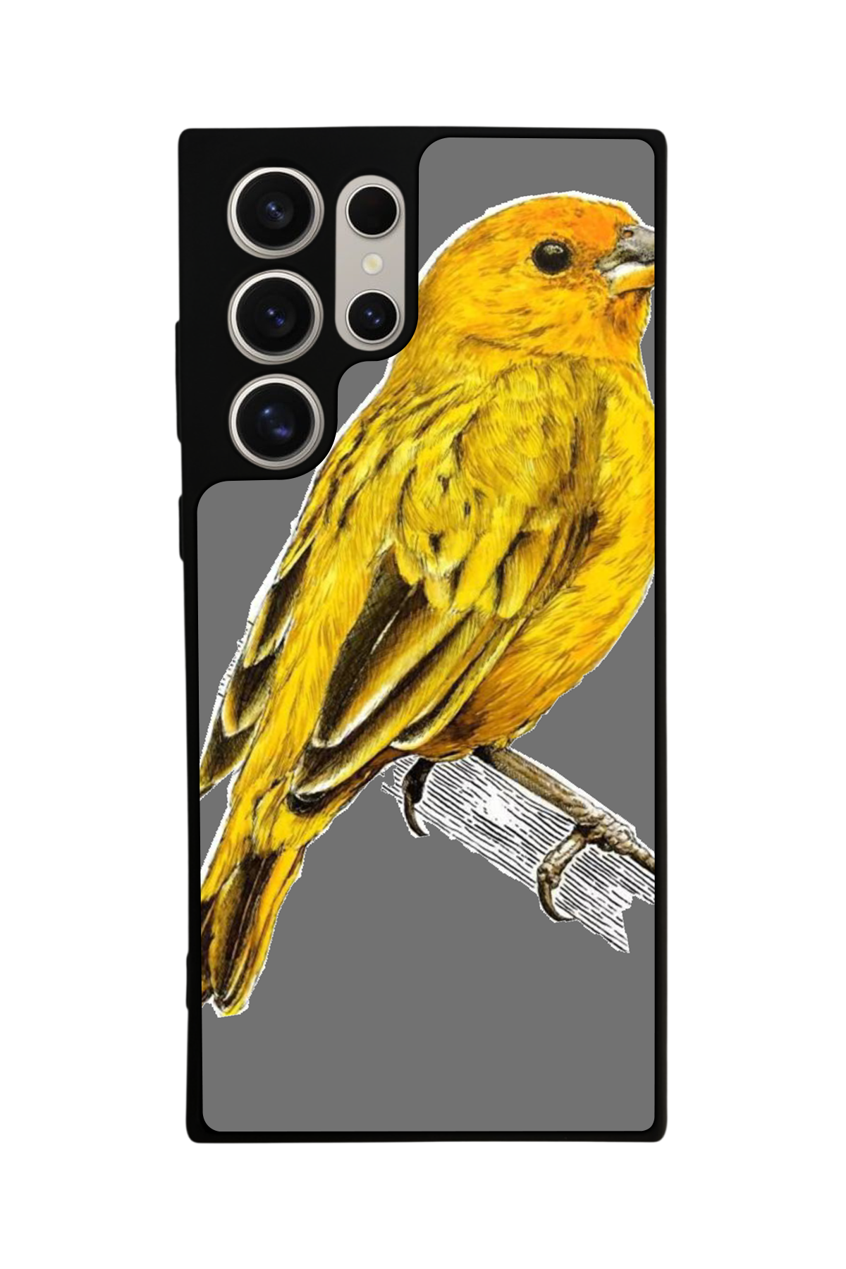 Samsung Galaxy S22 Ultra Uyumlu Fenerbahce Tasarımlı Glossy Premium Kılıf