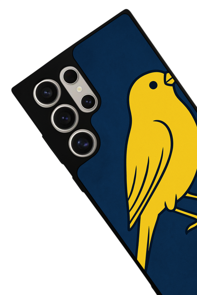 Samsung Galaxy S22 Ultra Uyumlu Fenerbahce Tasarımlı Glossy Premium Kılıf