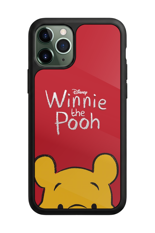 iPhone 11 Pro Uyumlu Winnie Tasarımlı Glossy Premium Kılıf