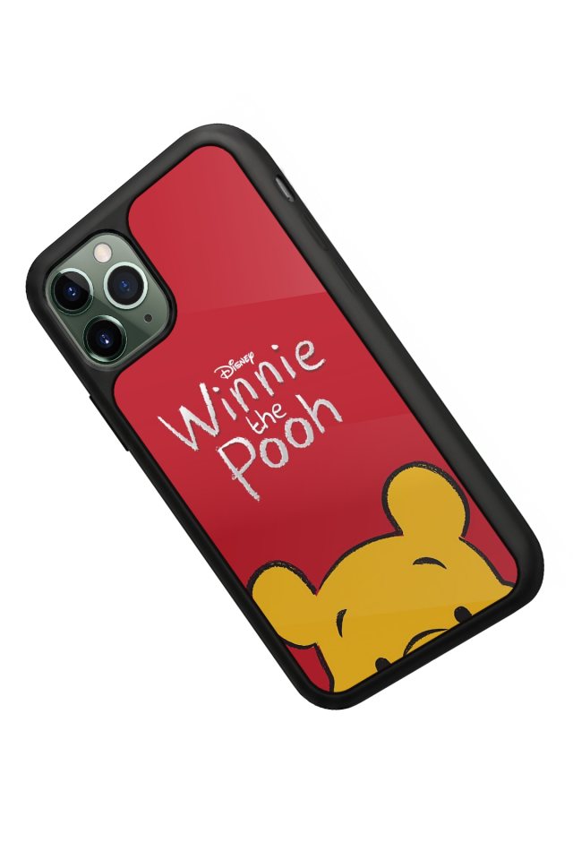 iPhone 11 Pro Uyumlu Winnie Tasarımlı Glossy Premium Kılıf