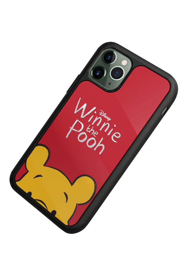 iPhone 11 Pro Uyumlu Winnie Tasarımlı Glossy Premium Kılıf