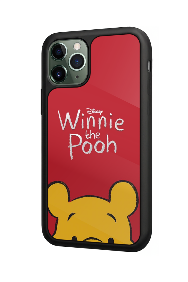 iPhone 11 Pro Uyumlu Winnie Tasarımlı Glossy Premium Kılıf