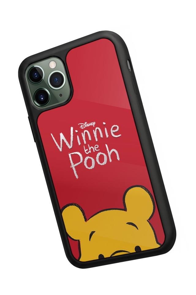 iPhone 11 Pro Uyumlu Winnie Tasarımlı Glossy Premium Kılıf