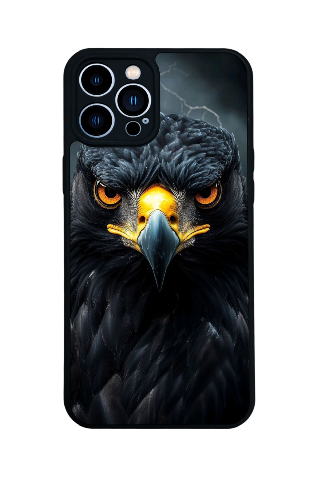 iPhone 13 Pro Max Uyumlu Besiktas Tasarımlı Glossy Premium Kılıf