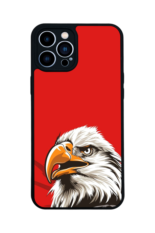 iPhone 13 Pro Max Uyumlu Besiktas Tasarımlı Glossy Premium Kılıf