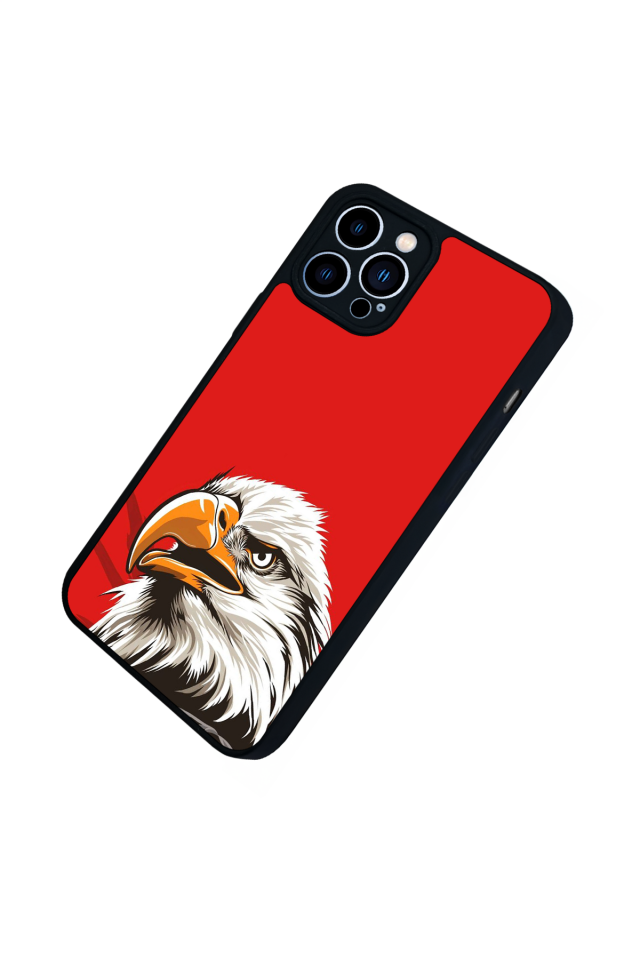 iPhone 13 Pro Max Uyumlu Besiktas Tasarımlı Glossy Premium Kılıf