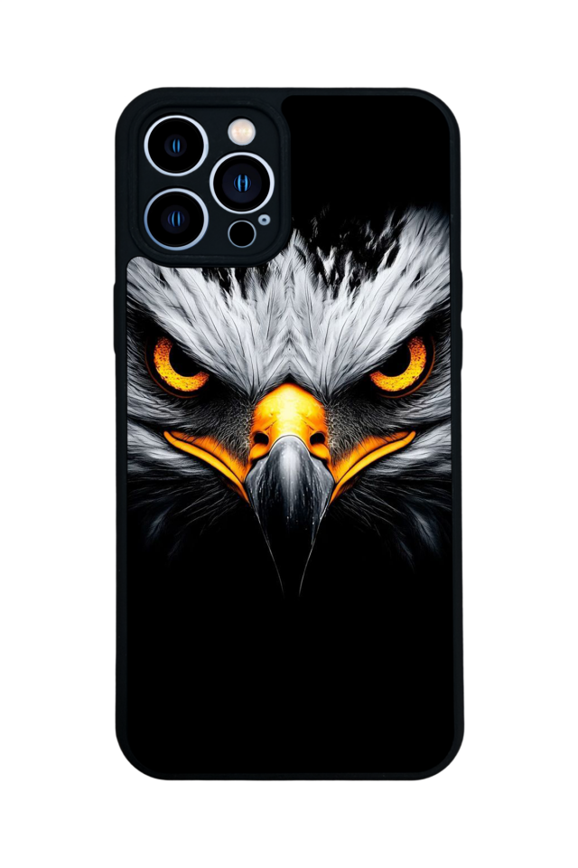 iPhone 13 Pro Max Uyumlu Besiktas Tasarımlı Glossy Premium Kılıf