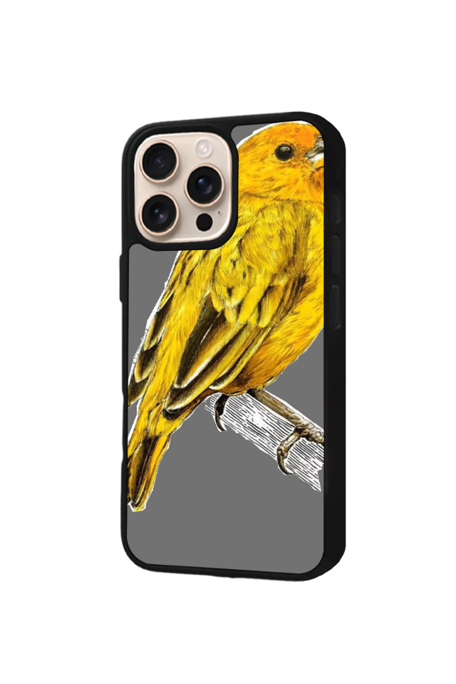 iPhone 16 Pro Max Uyumlu Fenerbahce Tasarımlı Glossy Premium Kılıf