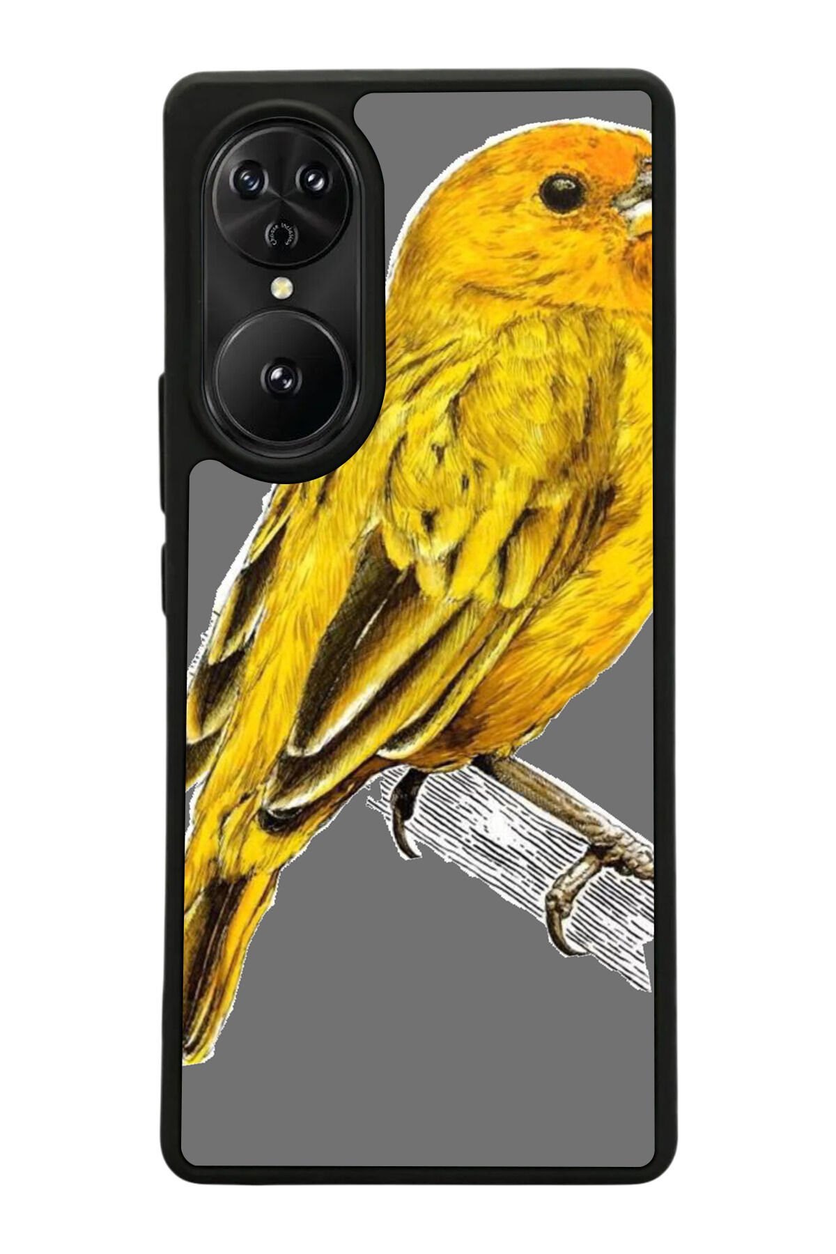 Reeder S19 Max Pro S EDGE Uyumlu Fenerbahce Tasarımlı Glossy Premium Kılıf