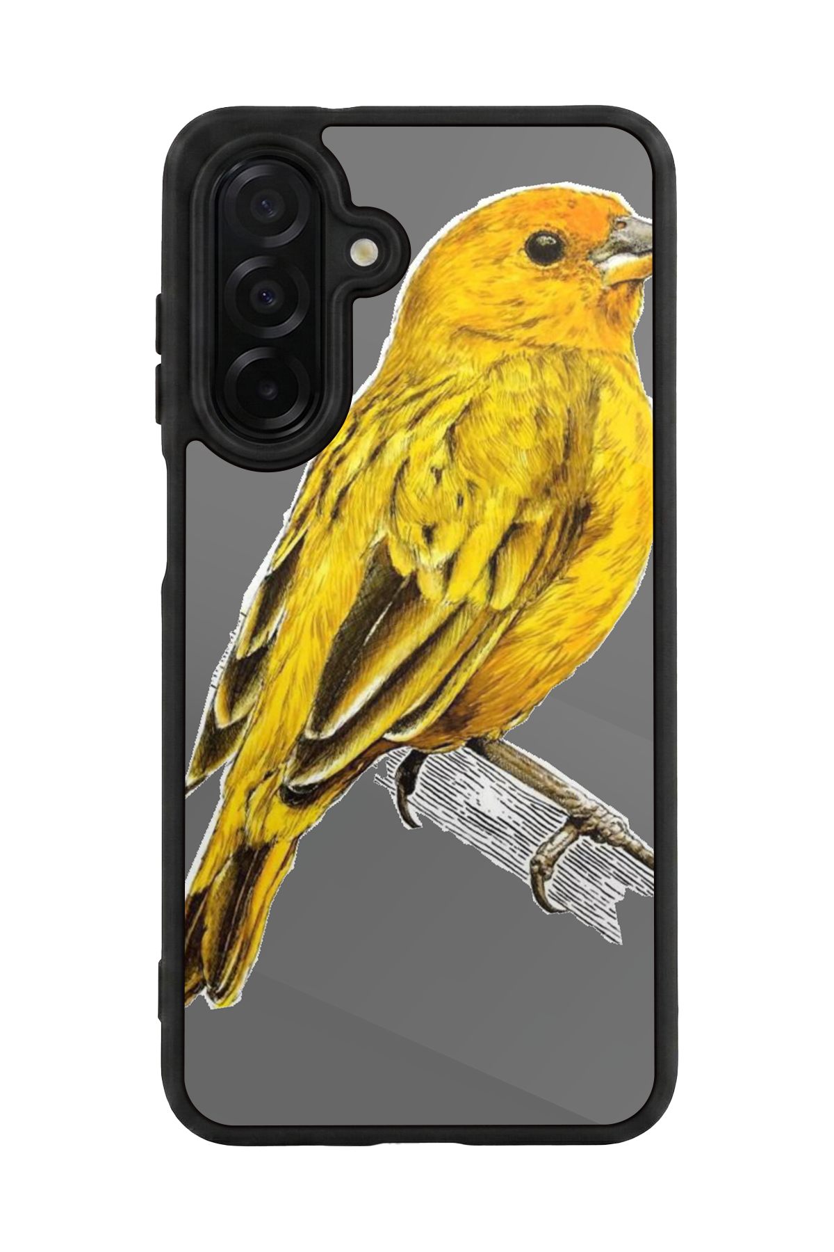 Samsung Galaxy A56 Uyumlu Fenerbahce Tasarımlı Glossy Premium Kılıf