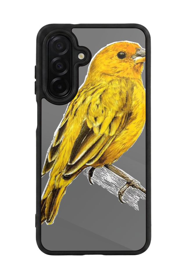 Samsung Galaxy A56 Uyumlu Fenerbahce Tasarımlı Glossy Premium Kılıf