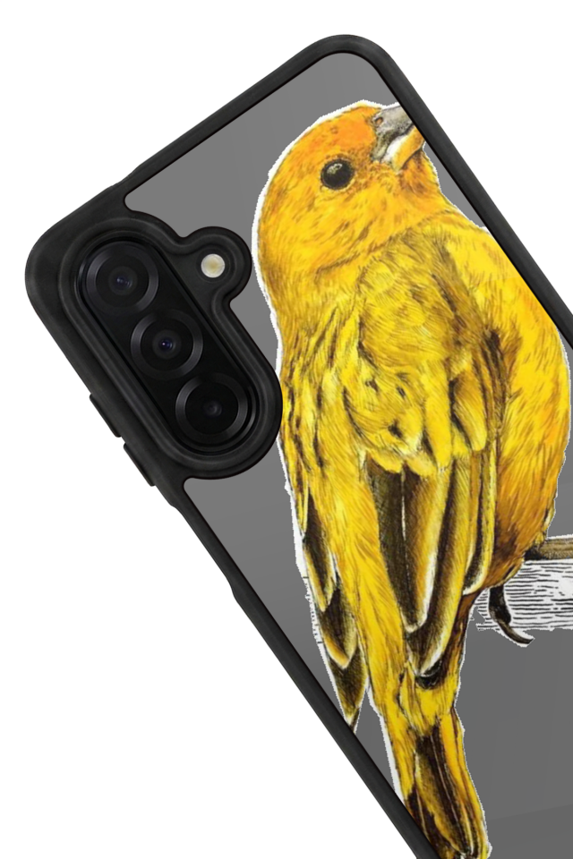 Samsung Galaxy A56 Uyumlu Fenerbahce Tasarımlı Glossy Premium Kılıf