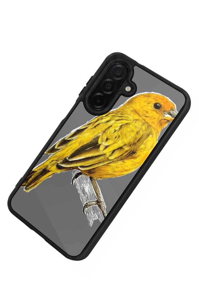 Samsung Galaxy A56 Uyumlu Fenerbahce Tasarımlı Glossy Premium Kılıf