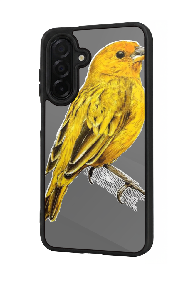 Samsung Galaxy A56 Uyumlu Fenerbahce Tasarımlı Glossy Premium Kılıf