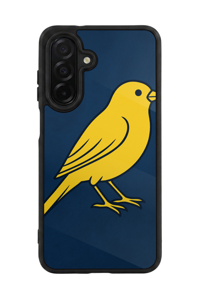 Samsung Galaxy A56 Uyumlu Fenerbahce Tasarımlı Glossy Premium Kılıf