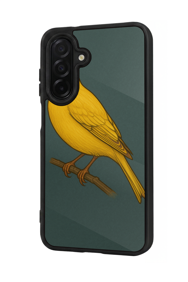 Samsung Galaxy A56 Uyumlu Fenerbahce Tasarımlı Glossy Premium Kılıf