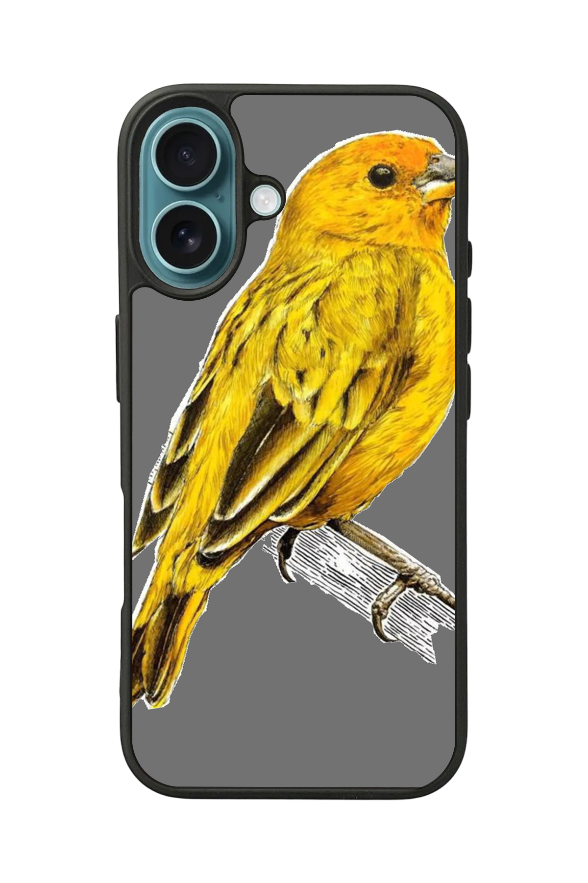 iPhone 16 Uyumlu Fenerbahce Tasarımlı Glossy Premium Kılıf