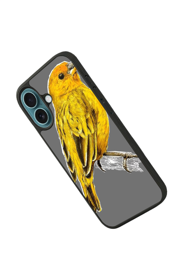 iPhone 16 Uyumlu Fenerbahce Tasarımlı Glossy Premium Kılıf