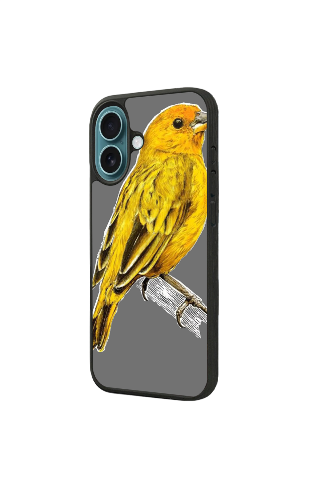 iPhone 16 Uyumlu Fenerbahce Tasarımlı Glossy Premium Kılıf