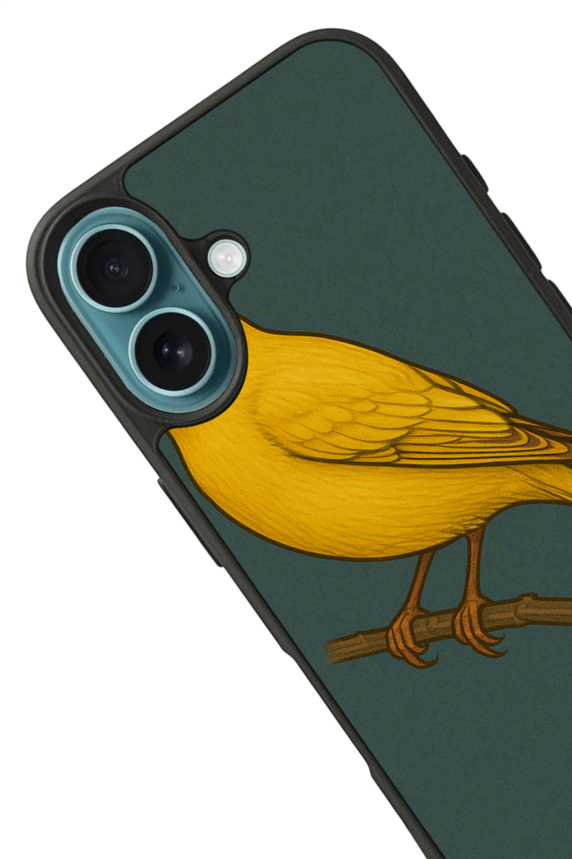 iPhone 16 Uyumlu Fenerbahce Tasarımlı Glossy Premium Kılıf