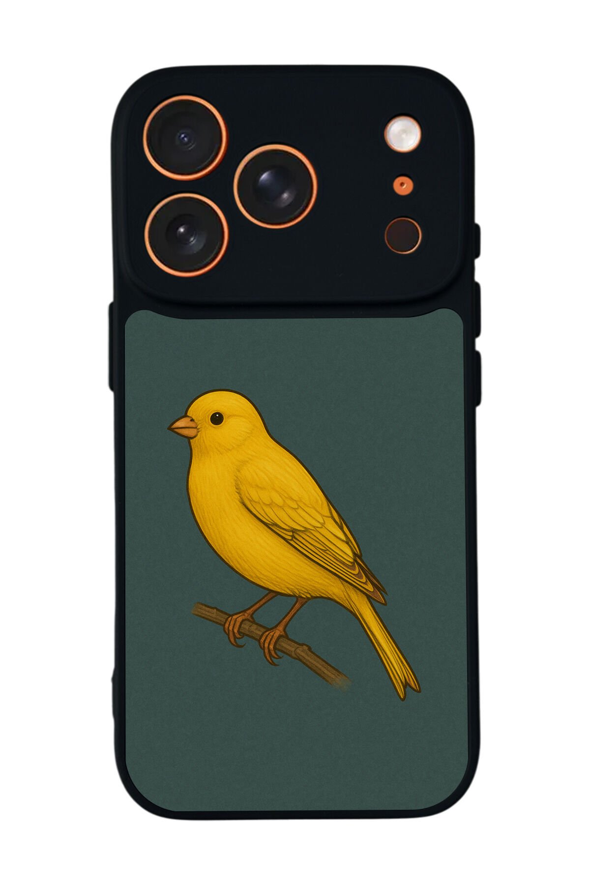 iPhone 17 Pro Uyumlu Fenerbahce Tasarımlı Glossy Premium Kılıf