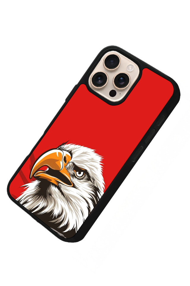 iPhone 16 Pro Max Uyumlu Besiktas Tasarımlı Glossy Premium Kılıf