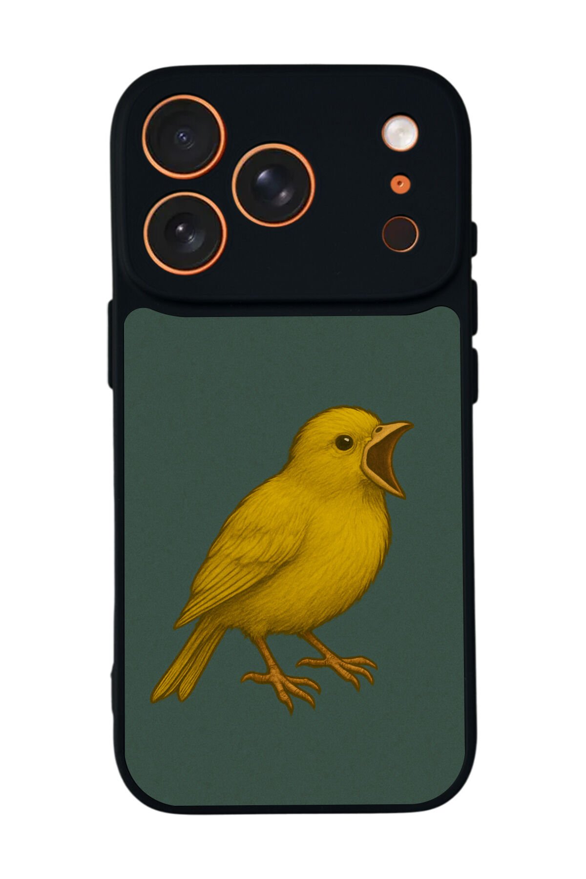 iPhone 17 Pro Uyumlu Fenerbahce Tasarımlı Glossy Premium Kılıf