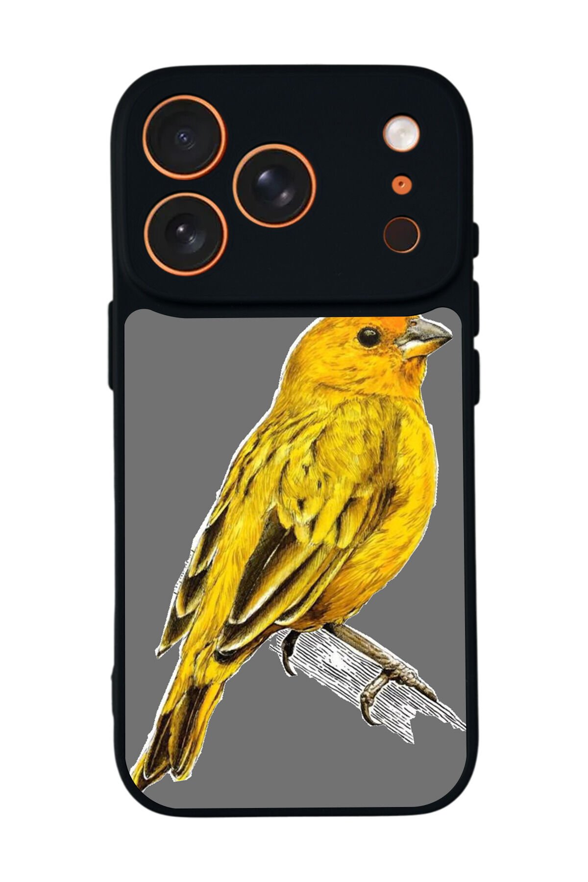 iPhone 17 Pro Uyumlu Fenerbahce Tasarımlı Glossy Premium Kılıf