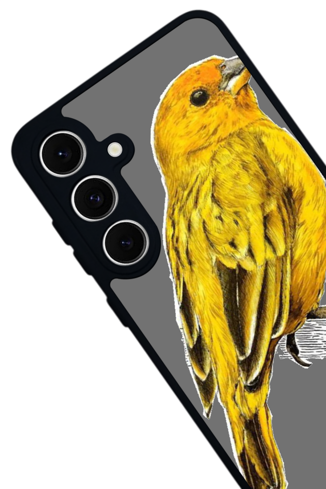 Samsung Galaxy A16 Uyumlu Aslan Tasarımlı Glossy Premium Kılıf