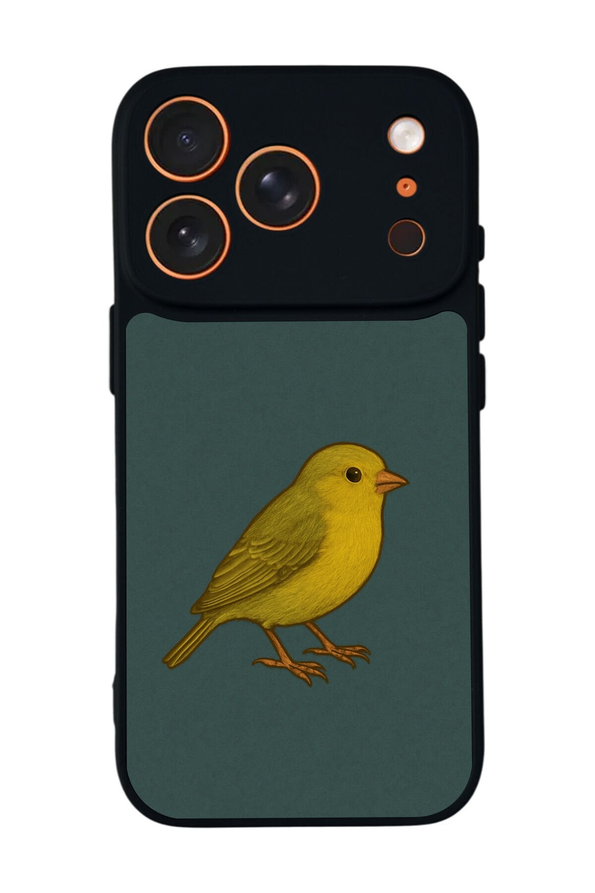 iPhone 17 Pro Uyumlu Fenerbahce Tasarımlı Glossy Premium Kılıf