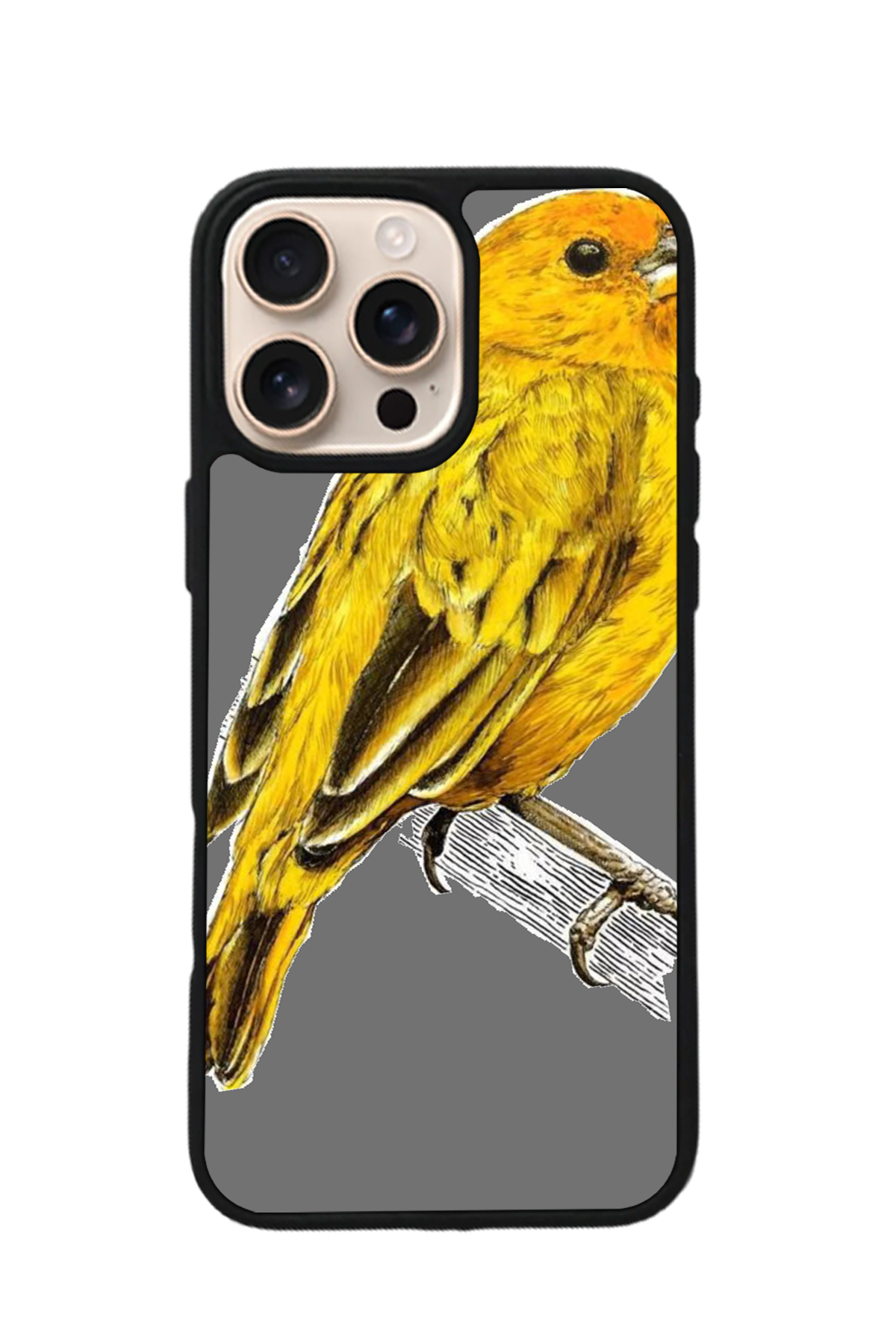 iPhone 16 Pro Uyumlu Fenerbahce Tasarımlı Glossy Premium Kılıf