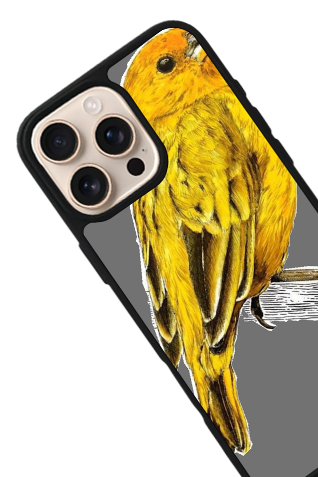 iPhone 16 Pro Uyumlu Fenerbahce Tasarımlı Glossy Premium Kılıf